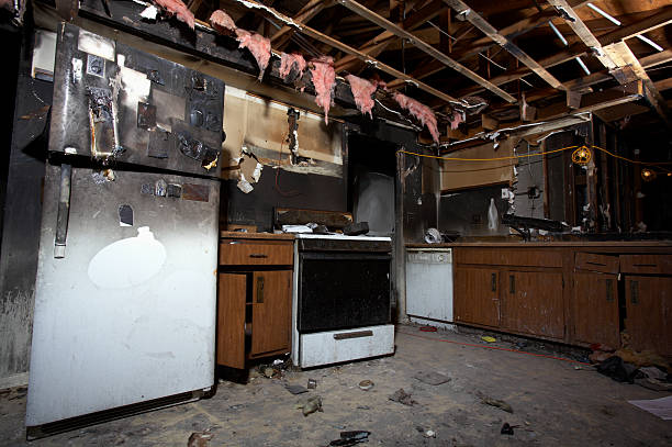 Affordable Fire Damage Removal solutions in Cockeysville, MD